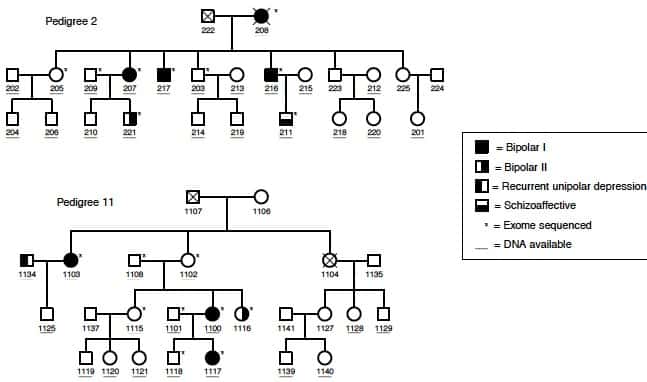 Family trees tracing mental illness